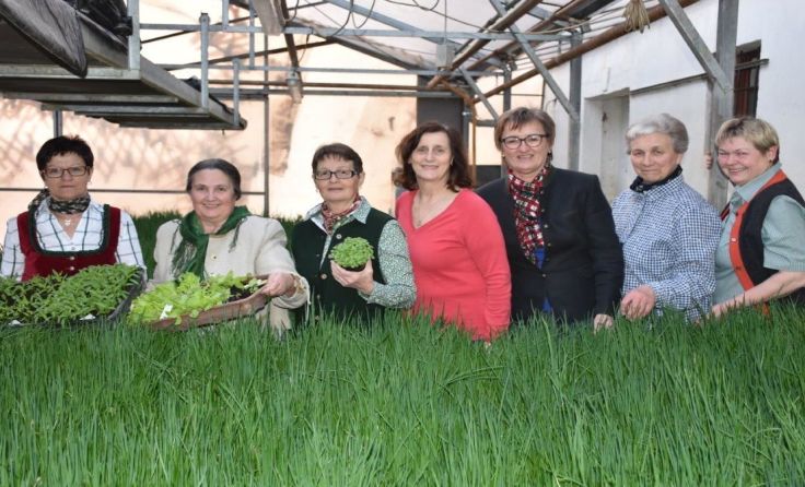 Stroheimer Frauen präsentieren die ersten Pflänzchen. Foto: Karl Viehböck