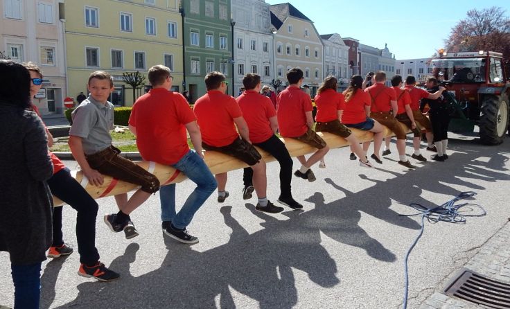 Am 1. Mai wird in Eferding der Baum aufgestellt. Foto: Birgit Rauscher