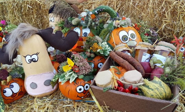 Wie kreativ einsetzbar Kürbisse sind, zeigt sich beim Kürbisfest. Foto: Scharinger