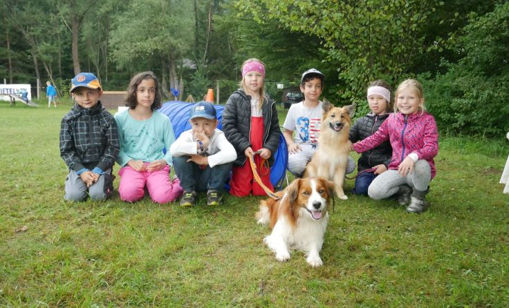 Spielerisch lernten die Kinder Wissenswertes über Hunde. Foto: HFV Steyrtal