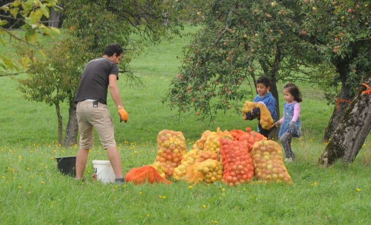 Foto: Naturpark Obst-Hügel-Land