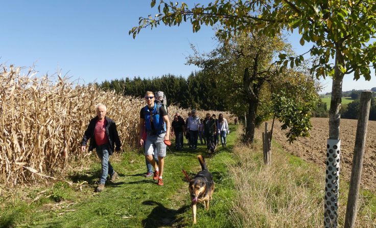 Die Weberbartl-Apfel-Wanderung eignet sich für die ganze Familie. Foto: Naturpark
