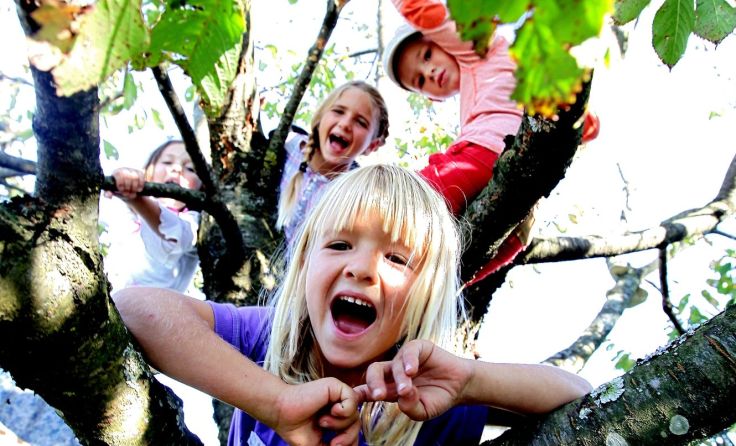 Die Kinderbetreuung in Linz ist 1A+. Foto: Weihnbold
