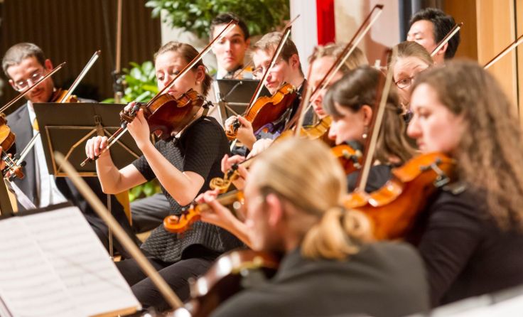 Die pt art phil harmonie spielt beim Neujahrskonzert auf. Foto: ptart.at