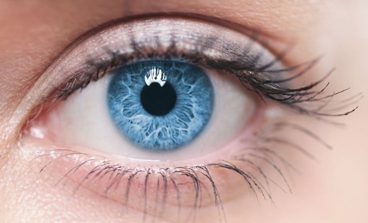 Foto: Shutterstock/Piotr Krzeslak