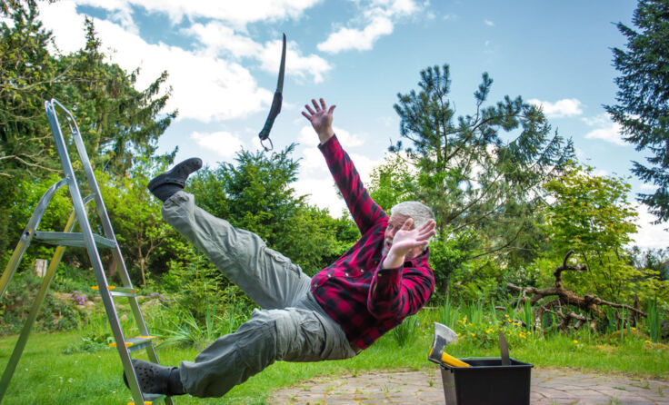  (Foto: Rainer Fuhrmann/Shutterstock.com)