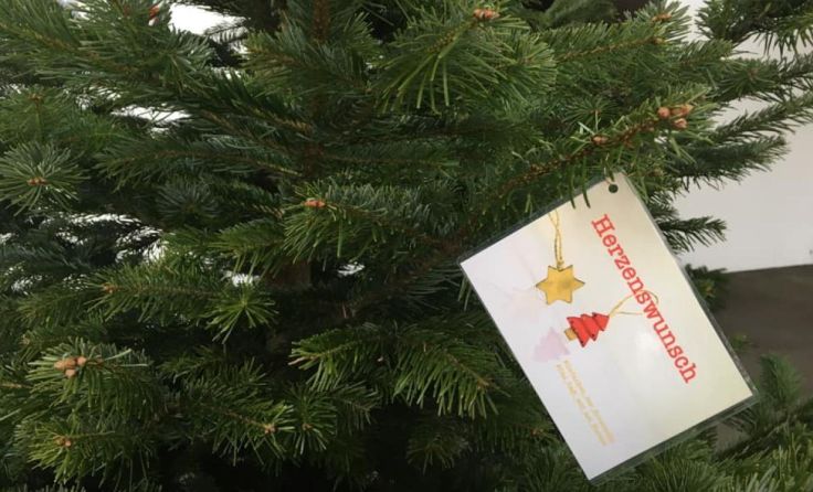 Der Herzenswunschbaum der Pfarre Linz-St. Konrad (Foto: Monika Weilguni)