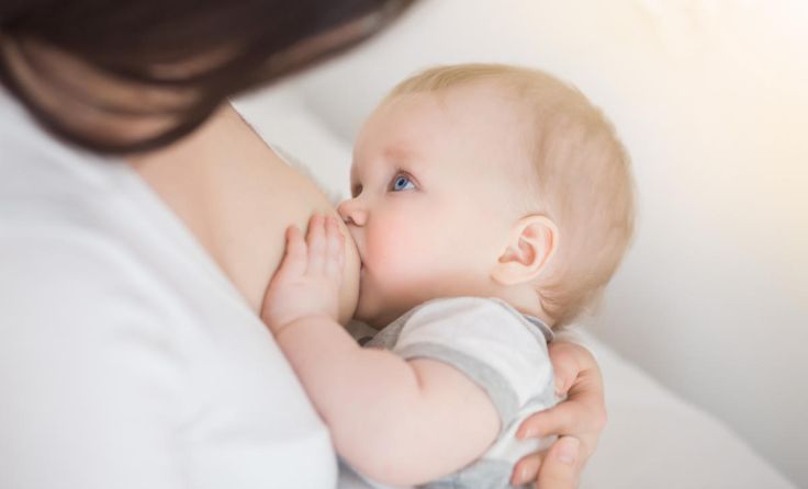  (Foto: UvGroup/Shutterstock.com)