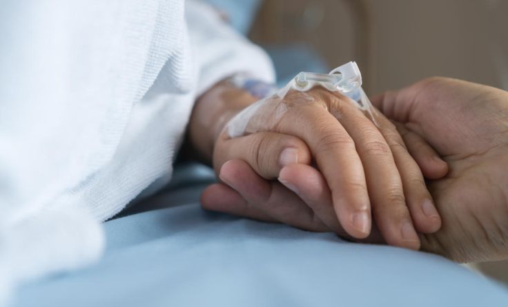 (Foto: smolaw/Shutterstock.com)
