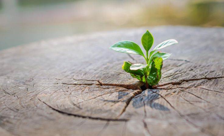  (Foto: Jes2u.photo/Shutterstock.com)