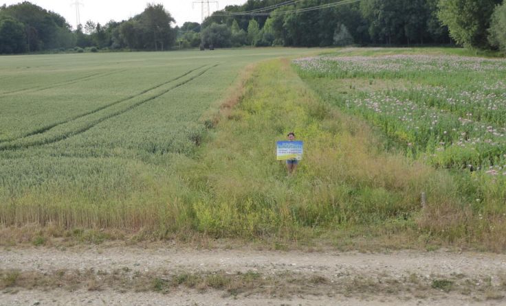 Eine Biodiversitätsfläche (Schutzfläche) am Betrieb Hamberger (Foto: Privat)