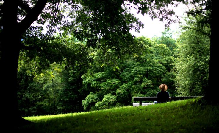 Parks und Grünzüge sind essentiell für ein angenehmes Stadtklima. (Foto: volker weihbold)