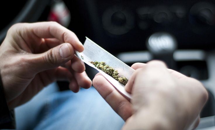 (Foto: Nick Starichenko/Shutterstock.com)