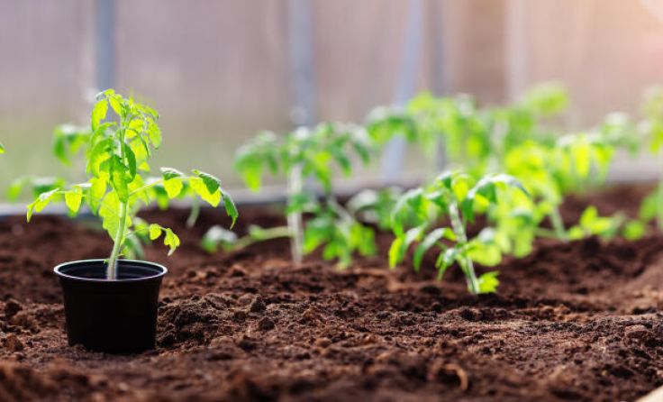  (Foto: candy1812/stock.adobe.com)