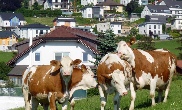  (Foto: Ulrich Aspetsberger, caramel Architektur)