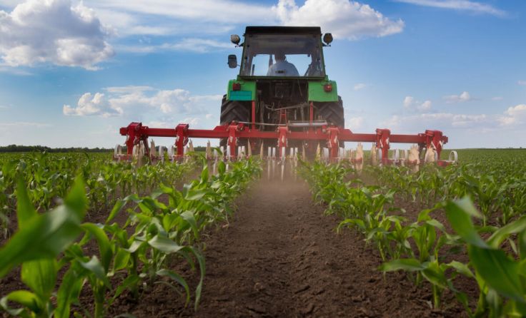 Die Landwirtschaft wird in den Fokus gerückt. (Foto: Budimir Jevtic/stock.adobe.com)