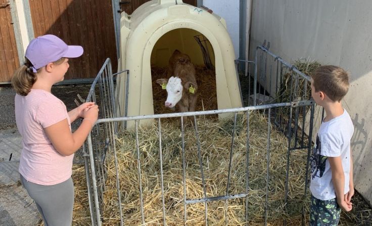  (Foto: OÖ Familienbund)