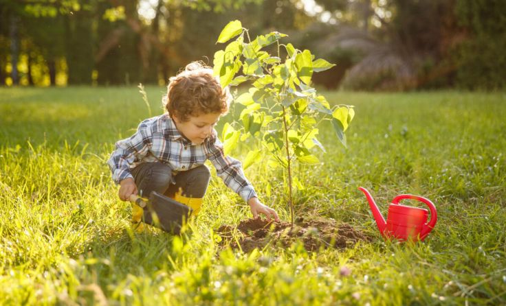 Den Kindern wird der bewusste Umgang mit der Natur näher gebracht. (Foto: kegfire/stock.adobe.com)