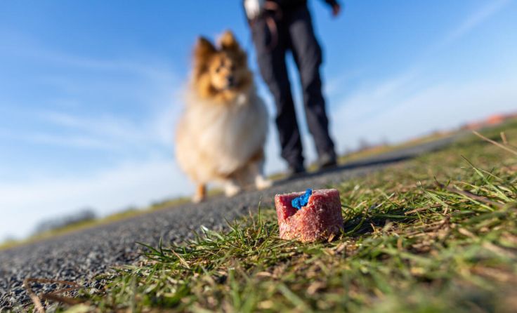  (Foto: Katja/huettenhoelscher.com/stock.adobe.com)