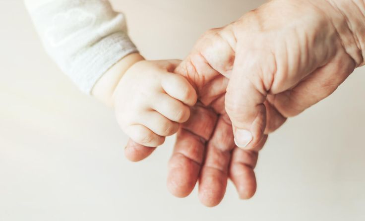  (Foto: Anastassiya/stock.adobe.com)