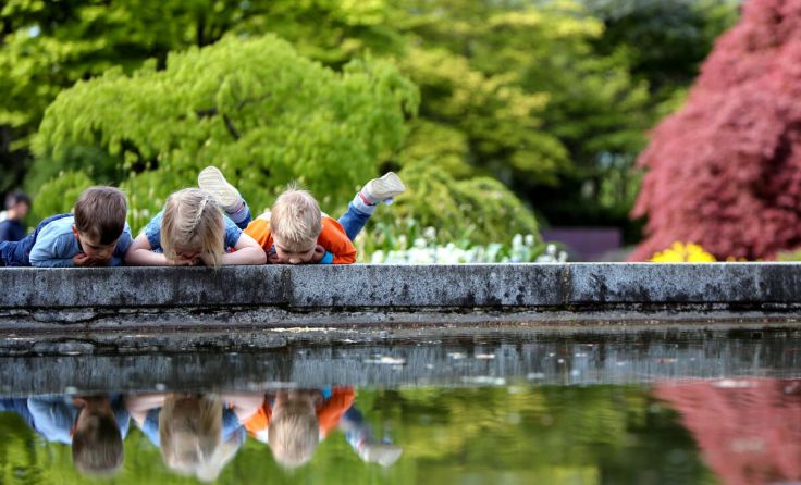 Im Botanischen Garten gibt es nicht nur für Kinder viel zu entdecken. (Foto: Weihbold)
