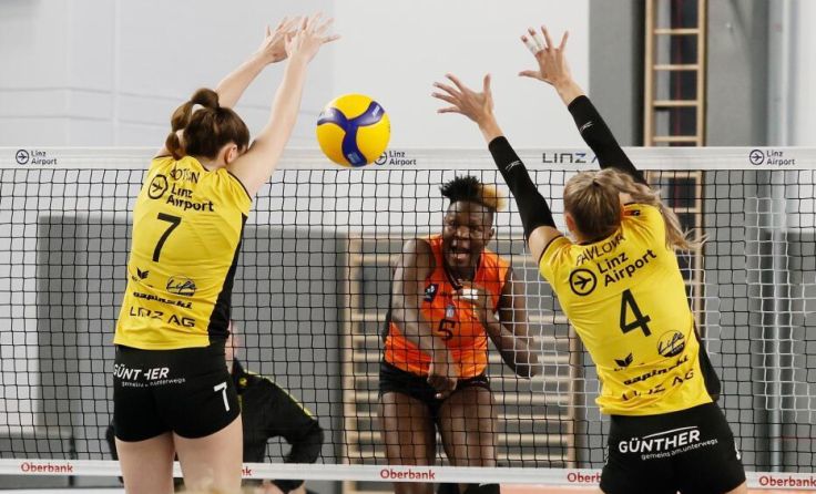 Die Steelvolleys nehmen wieder am CEV Challenge Cup teil. (Foto: Foto Schabetsberger)