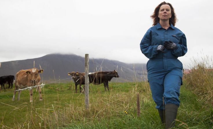 "Milchkrieg in Dalsymnni" (Foto: Panda Film)