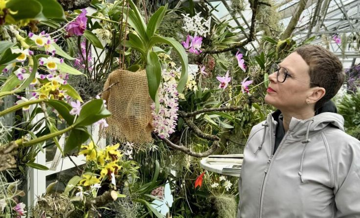 Klimastadträtin Eva Schobesberger (Foto: Stadt Linz)