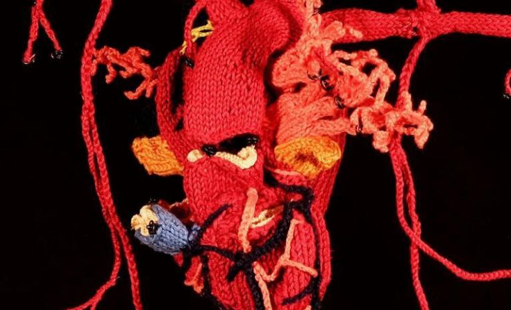 Gestrickte Anatomie (Foto: Katharina Sabernig)