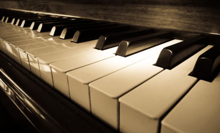  (Foto: Scott Wong/stock.adobe.com)
