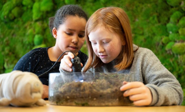 Im AEC dürfen Kinder ihren Entdeckerdrang ausleben. (Foto: Birgit Cakir)