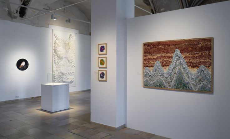 Ein Blick in die Ausstellung (Foto: OÖ Landes-Kultur GmbH/Michael Maritsch)