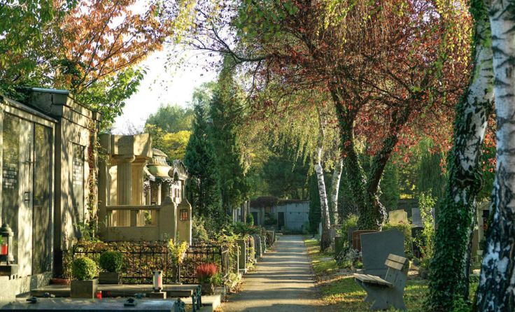 Der St. Barbara Friedhof ist eine botanische Oase. (Foto: Nik Fleischmann)