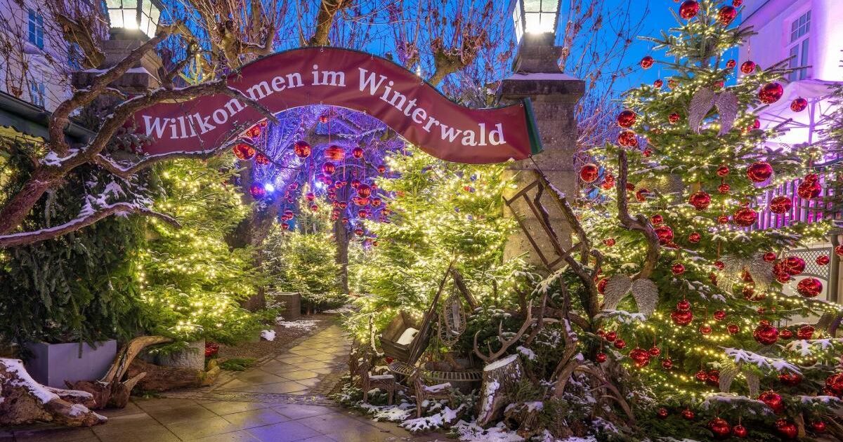 Winter Magic at Stiegl-Klosterhof opens on November 14