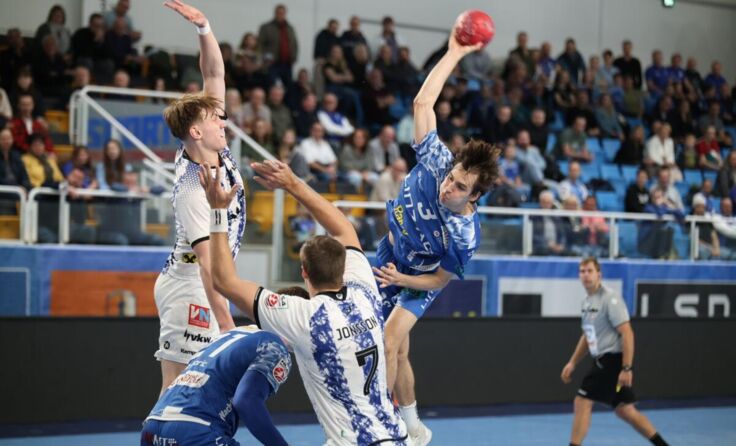  (Foto: Wolfgang Pichler)