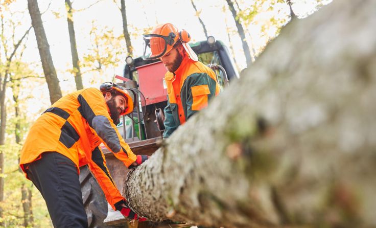  (Foto: Robert Kneschke/stock.adobe.com)