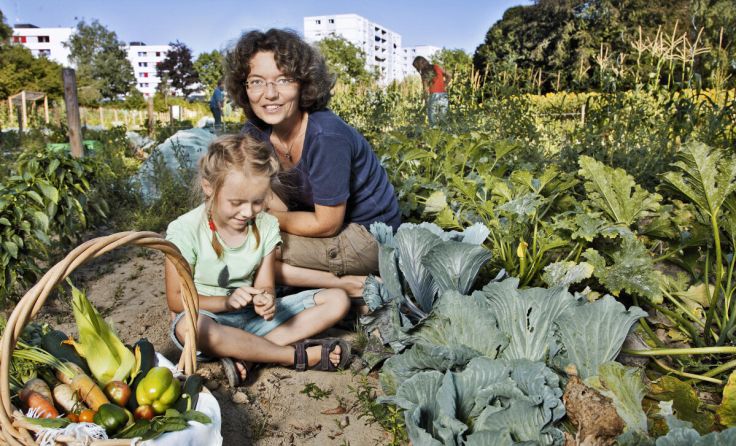  (Foto: Morgentau/photopoint.co.at_Clemens Pürstinger)