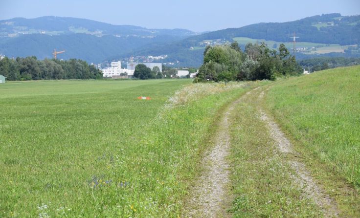  (Foto: Gudrun Fuß/Naturschutzbund OÖ)