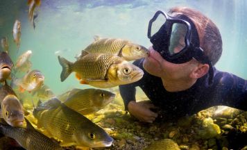 Neptun Staatspreis: Wasserprojekte aus Oberösterreich gesucht