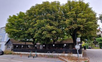 Neuigkeiten aus der Linzer Gastro: Schwarzes Schiff unter neuer Flagge
