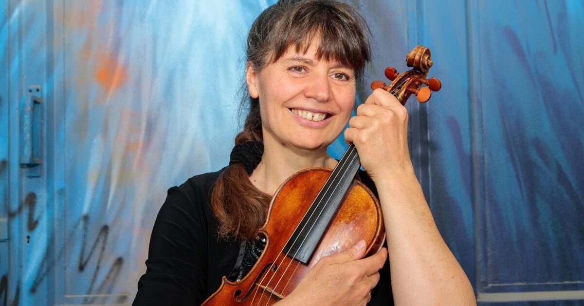 Concert evening with violin and piano