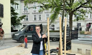Neue Bäume im Bulgariplatzviertel geplant