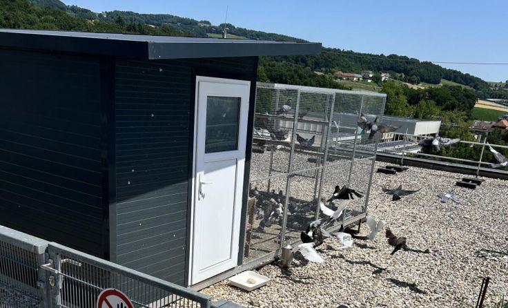 Das Taubenhaus an der JKU wurde Ende 2023 errichtet. (Foto: JKU)