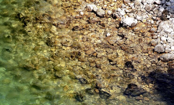 Foto: Weihbold 