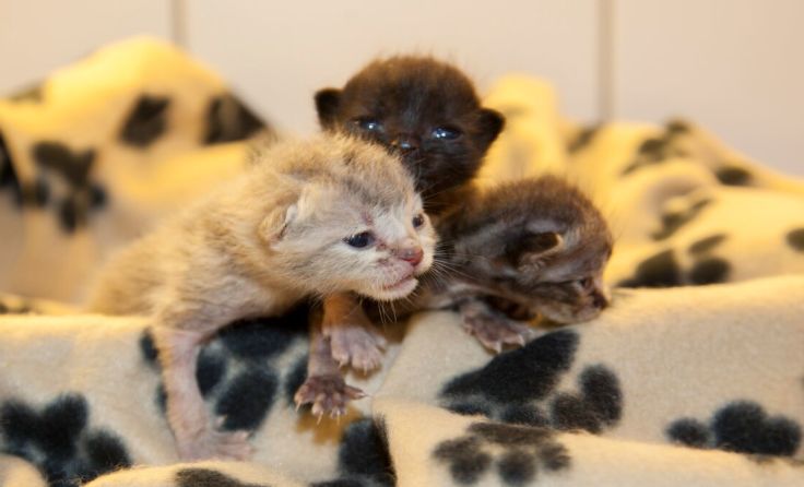 Foto: Sonja Müllner
