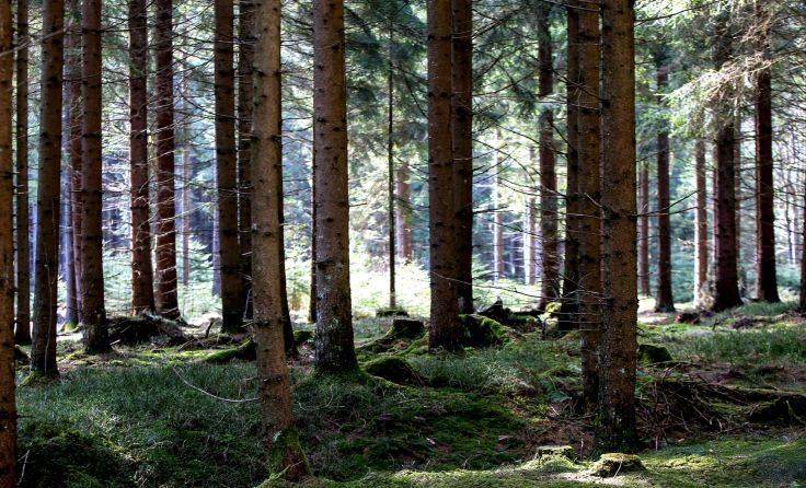 Foto: Weihbold