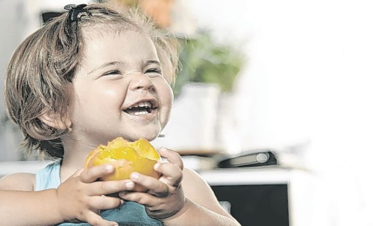 Foto: stock_colors/Shutterstock