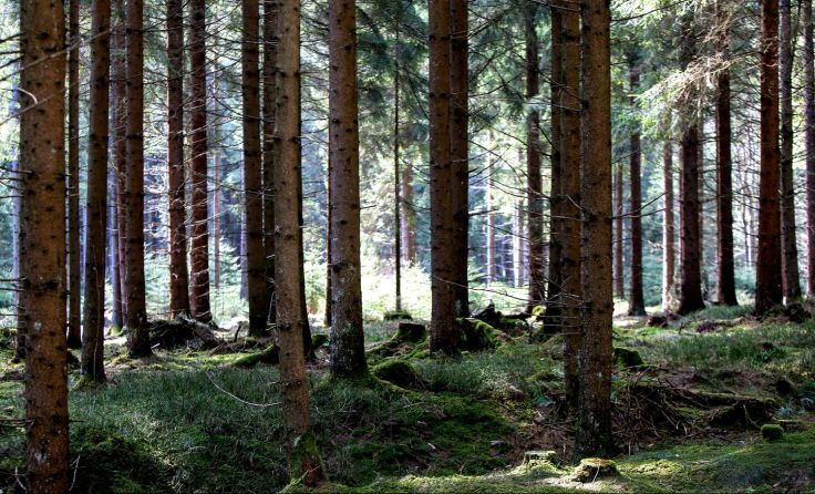 Foto: Weihbold