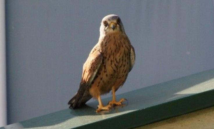 Foto: Privat