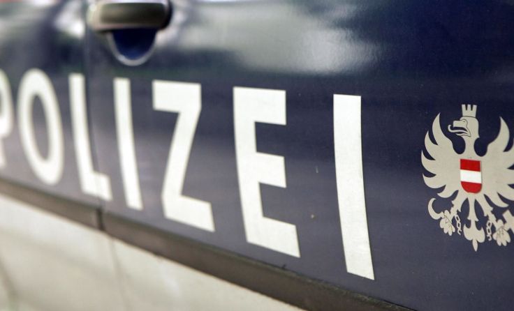 Vier Streifen konnten die jungen Raufbolde stellen. Foto: Weihbold